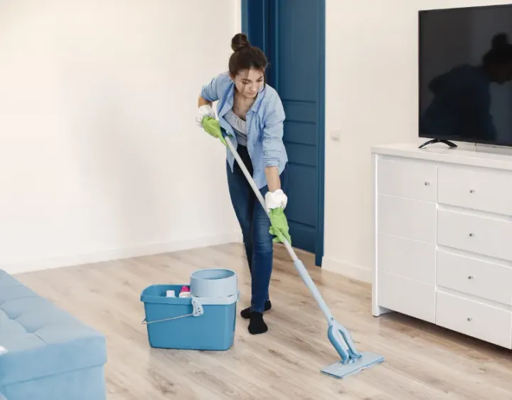 Femme de ménage Fillols